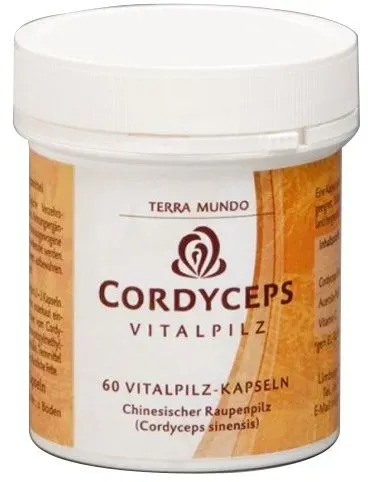 Cordyceps Vitalpilz Kapseln