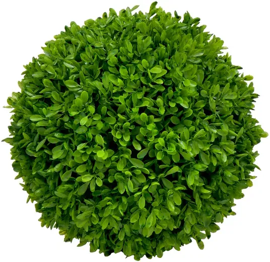 Buchs Kugel D26cm grün