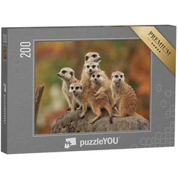 puzzleYOU Puzzle Gruppe von Erdmännchen, 200 Puzzleteile, puzzleYOU-Kollektionen Erdmännchen, Tiere in Savanne & Wüste