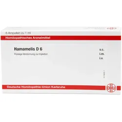 Hamamelis D6 Ampullen Homöopathie