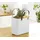 Rotho Multibag Style 25 l Albula weiß 40 x 34 x 24 cm