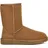 Chestnut 39
