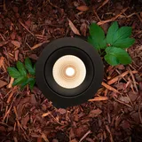 The Light Group SLC One 360° SL 3000K schwarz