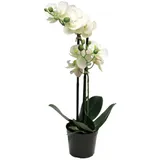 Kunstorchidee Kunstblume Phalaenopsis Orchidee CHENXU, weiß, 50 cm Orchidee (Orchidee phalaenopsis), artplants weiß