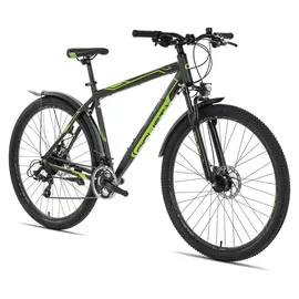 Ciclista Adventure 29 Disc All-Terrain-Bike ab 14 Jahren 29 Zoll Grün 56 cm | Grün