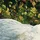 Xclou Gartenvlies 1,5 x 10 m