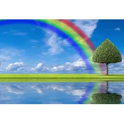 Fototapete PAPERMOON "regenbogen Wiese", bunt, B:3,00m L:2,23m, Vlies, Tapeten