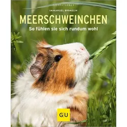 Meerschweinchen