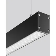 RZB LINEDO 1-flg. 31 W 3000 K schwarz transparent
