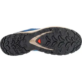 Salomon XA Pro 3D V9 GTX Herren Poseidon/White Pepper/Falcon 46 2/3