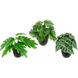 Kunstpflanze I.GE.A. "Künstliches Zimmerpflanzen-Set", grün, B:16cm H:17cm L:14cm, Polyester, Kunstpflanzen, Im Topf 3er Set Grünpflanzen Zimmerpflanze Monstera Philo Calathea