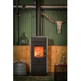 Wanders fires&stoves Kaminofen | PECAN ECO M | 8 kW