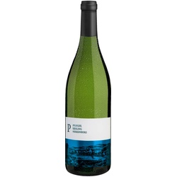 Pflüger Riesling Ungsteiner Herrenberg Qualitätswein Pfalz 2022, Bio Weisswein, Biowein