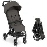 ABC-Design ABC Design Buggy & Sportwagen Ping 2 Trekking mit in grau -