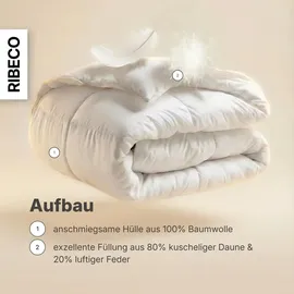 RIBECO GERMANY Daunenbettdecke 155x220 cm – Wärmeklasse: leicht – –kuschelige Decke mit Kassettensteppung, - Weiß