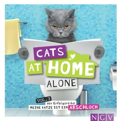 Cats at home alone - Das Geschenkbuch für Katzenliebhaber als Buch von Klaus Bunte