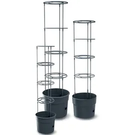 Prosperplast Tomatentopf Rankhilfe Anzuchttopf für Tomate Grower Pflanzkübel aus Kunststoff in Anthrazit (L) x 29,5 cm