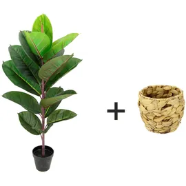 I.GE.A. Kunstpflanze Gummibaum im Wasserhyazinthentopf, ca. H84 cm, Grün