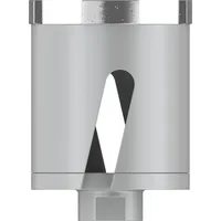 Bosch Diamant-Dosensenker 68 mm 1 St.