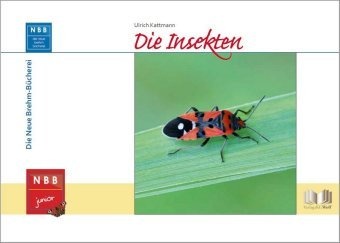 Die Insekten - Ulrich Kattmann  Gebunden