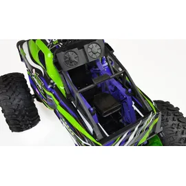 AMEWI RC-Monstertruck Big Monstertruck 1:10 CH RTR grün