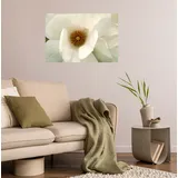 Queence Wandsticker QUEENCE "White Love", weiß, B:90cm H:60cm T:0,1cm, Folie, Wandtattoos, Selbstklebend, kinderleichte Anbringung