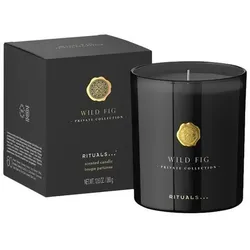 Wild Fig Scented Candle