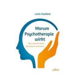 Warum Psychotherapie wirkt von Louis Cozolino, Kartoniert (TB), 2017, 3867811806