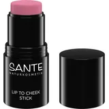 Sante Lip to Cheek Stick - Rose Blush
