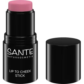 Sante Lip to Cheek Stick - Rose Blush