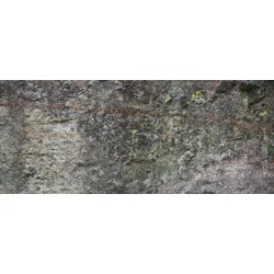 Fototapete ARCHITECTS PAPER "Stone Trough", grau (grau, taupe, weiß), B:6m L:2,5m, Vlies, Tapeten, Vlies, Wand, Schräge