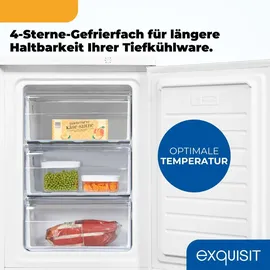 Exquisit GS18-H-170E