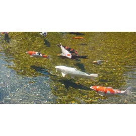 UBBINK AlgClear 95000 UVC Teichklärer schwarz