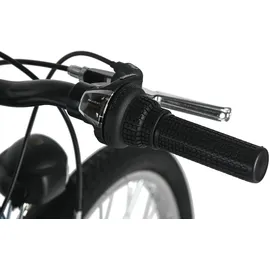 Dacapo Bobby 24 Zoll RH 32 cm blau