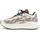 Salomon Aero Glide 4 GRVL Herren Vanilla Ice/Black/Iron 49 1/3