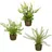 Creativ green Künstliche Zimmerpflanze Set aus Farnpflanzen auf Wurzelballen Farn, Creativ green, Höhe 22 cm, 3er Set grün