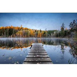 Fototapete PAPERMOON "Photo-Art KELLER, HERBSTSTEG", bunt, B:2,50m L:1,86m, Vlies, Tapeten