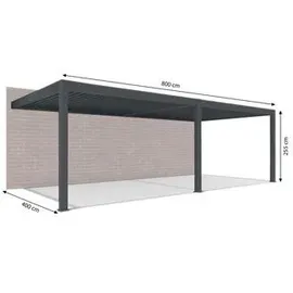 Weide E-Deluxe Plus 4 x 8 m Grau