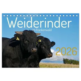 Calvendo Weiderinder im Frankenwald (Tischkalender 2026 DIN A5 quer), CALVENDO Monatskalender: Momentaufnahmen und Porträts von Rindern auf der Weide (CALVENDO Tiere)