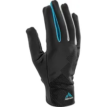 Leki Alpino Guide Lite Schwarz/Blau 6