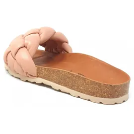 Verbenas Rai Roda rose 38