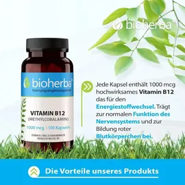 Bioherba Vitamin B12 Kapseln 100 Stück