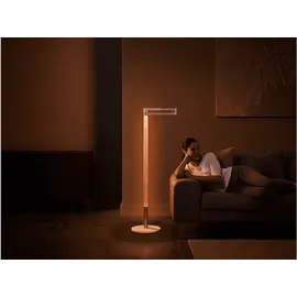 Dyson Morph 294681-01