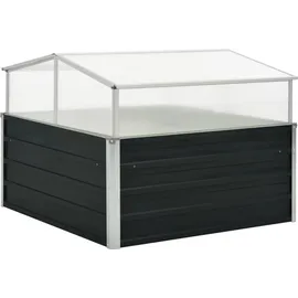 vidaXL Gewächshaus 100 x 100 x 77 cm Anthrazit