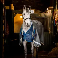 Horseware Amigo Bravo 12 Plus Bundle 50g + 100g und 200g Liner, 115