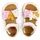 Camper Bicho Beige 21