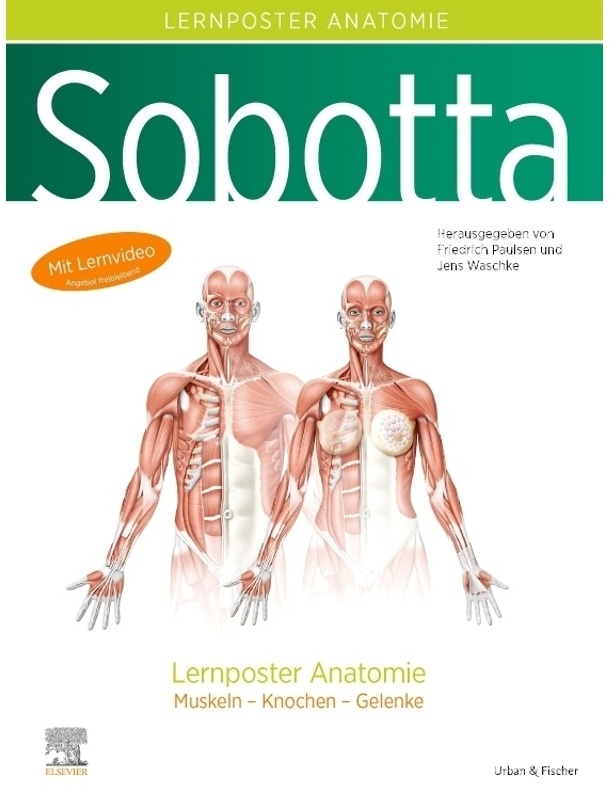 Sobotta Lernposter Anatomie, Poster