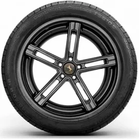 Continental ContiWinterContact TS 810 Sport 255/45 R18 99V