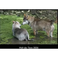 Vero Kalender Welt der Tiere 2026 Fotokalender DIN A3