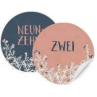 24 Adventskalenderzahlen, für Mädchen & Frauen, runde Zahlen Etiketten MATT zum Adventskalender Basteln, selbstklebend, 40mm, ROSA BLAU mit Zweigen und Beeren